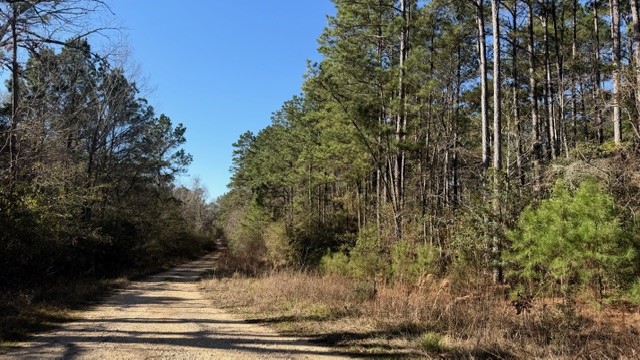 Tbd Preacher Denson Road Cleveland, TX 77328 - Photo 5 of 7 a view of a yard