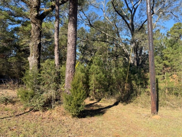 Tbd Preacher Denson Road Cleveland, TX 77328 - Photo 6 of 7 a view of outdoor space and garden