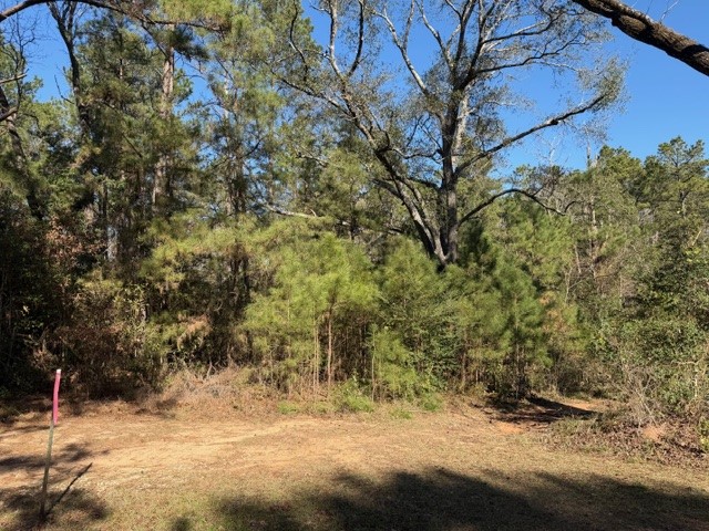 Tbd Preacher Denson Road Cleveland, TX 77328 - Photo 7 of 7 a view of snow on a road