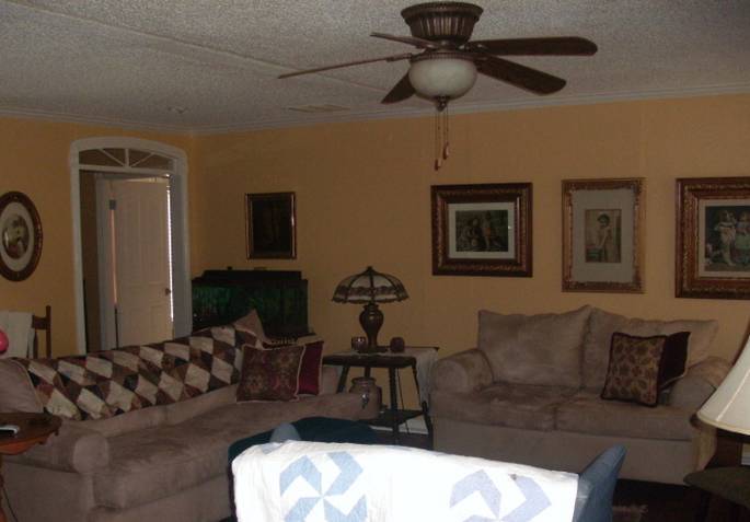 3087 Dry Hill Road Ferrum, VA 24088 - Photo 4 of 11 a living room with furniture and a lamp