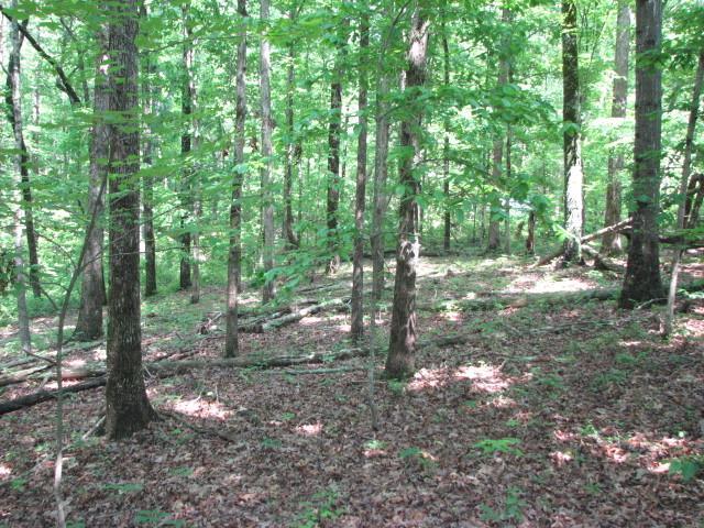 0 Log Cabin Road Dahlonega, GA 30533 - Photo 1 of 1 Gentle terrain and nicely wooded