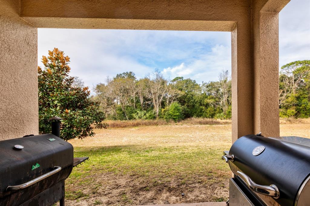 3161 Poppy Hill Road Mount Dora, FL 32757 - Photo 23 of 28