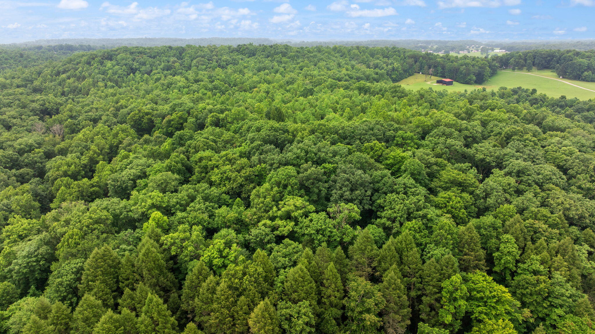 0 Mathis Road McKee, KY 40447 - Photo 9 of 39 19-web-or-mls-DJI_20260709091820_0054_D