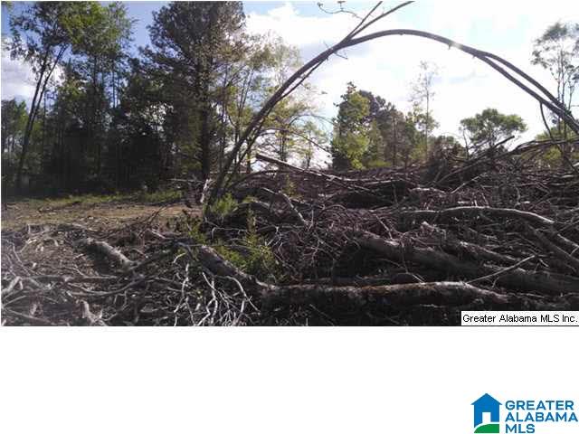 Mahaffey Road, Unit 52 Eastaboga, AL 36260 - Photo 25 of 28 Gallery Image 25
