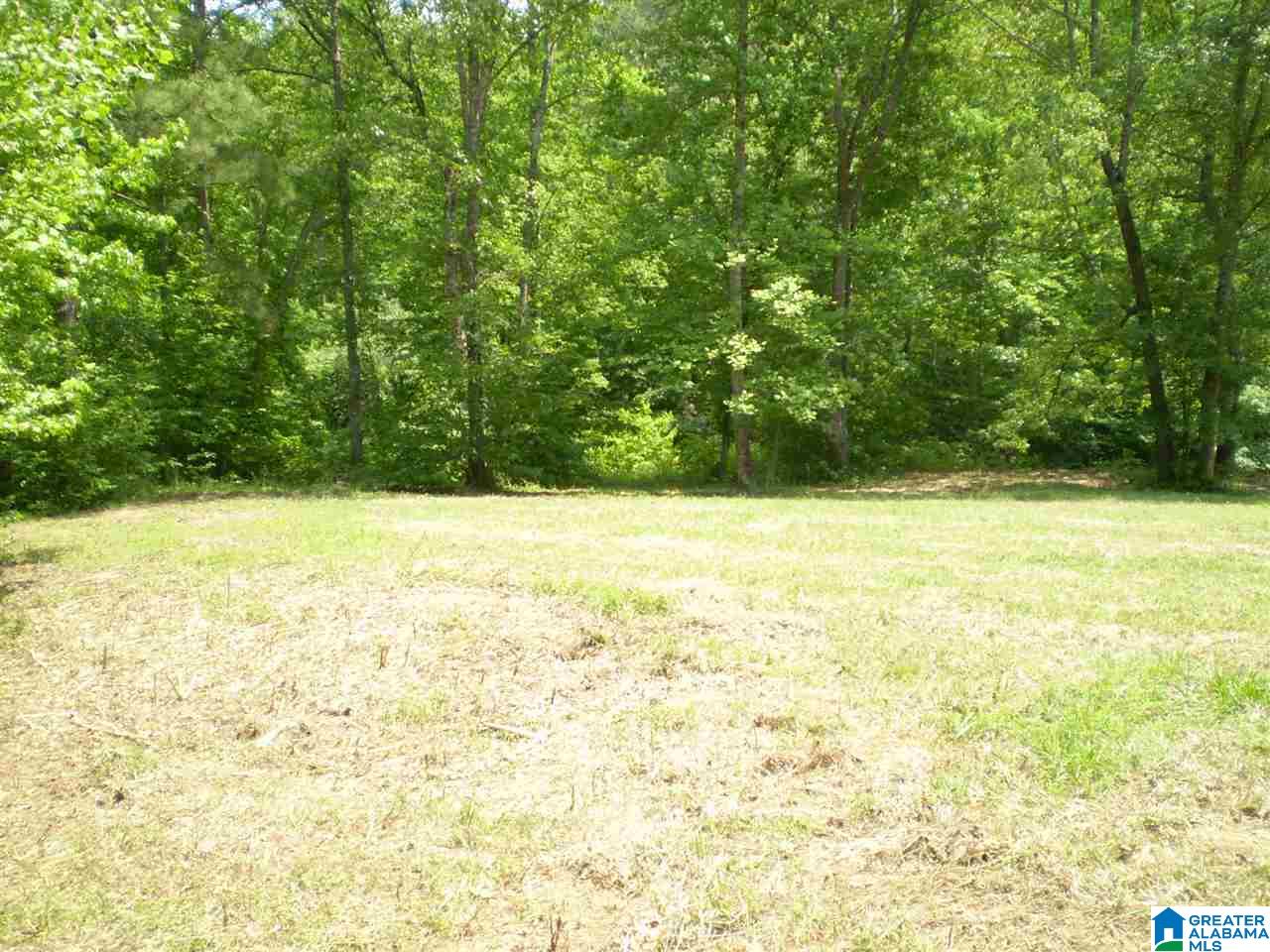 298 Waldrop Road, Unit TR 12 Ashville, AL 35953 - Photo 9 of 29