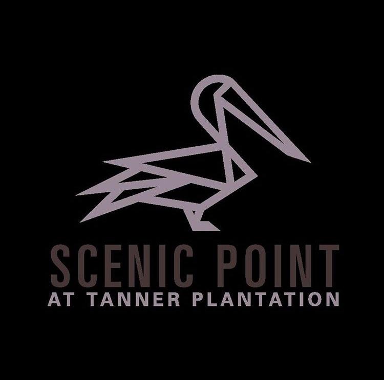 1943 Sweetfern Road Hanahan, SC 29410 - Photo 14 of 16 scenic point logo