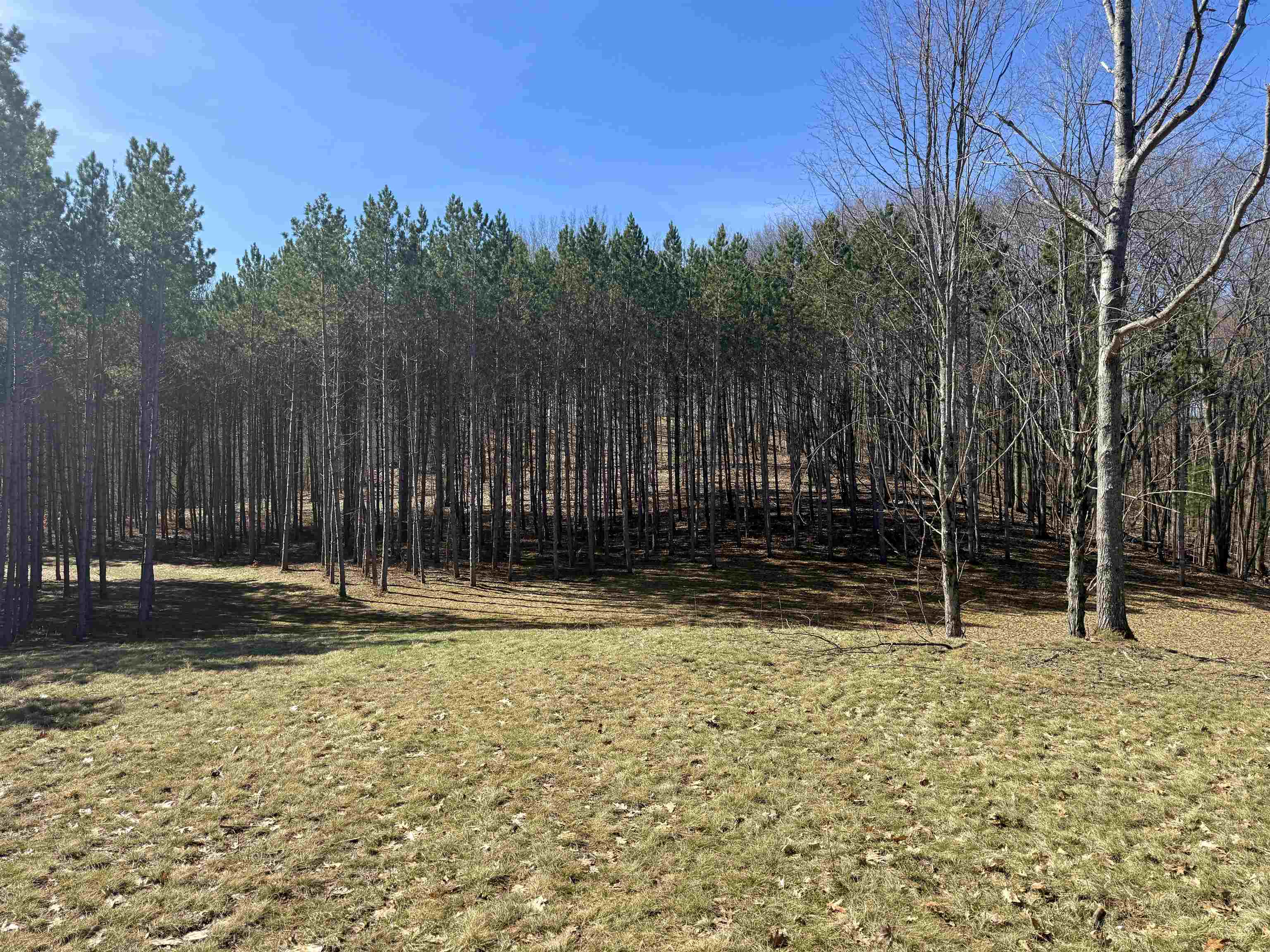 3041 Dockery Road East, Unit LOT: 2 Williamsburg, MI 49690 - Photo 4 of 18