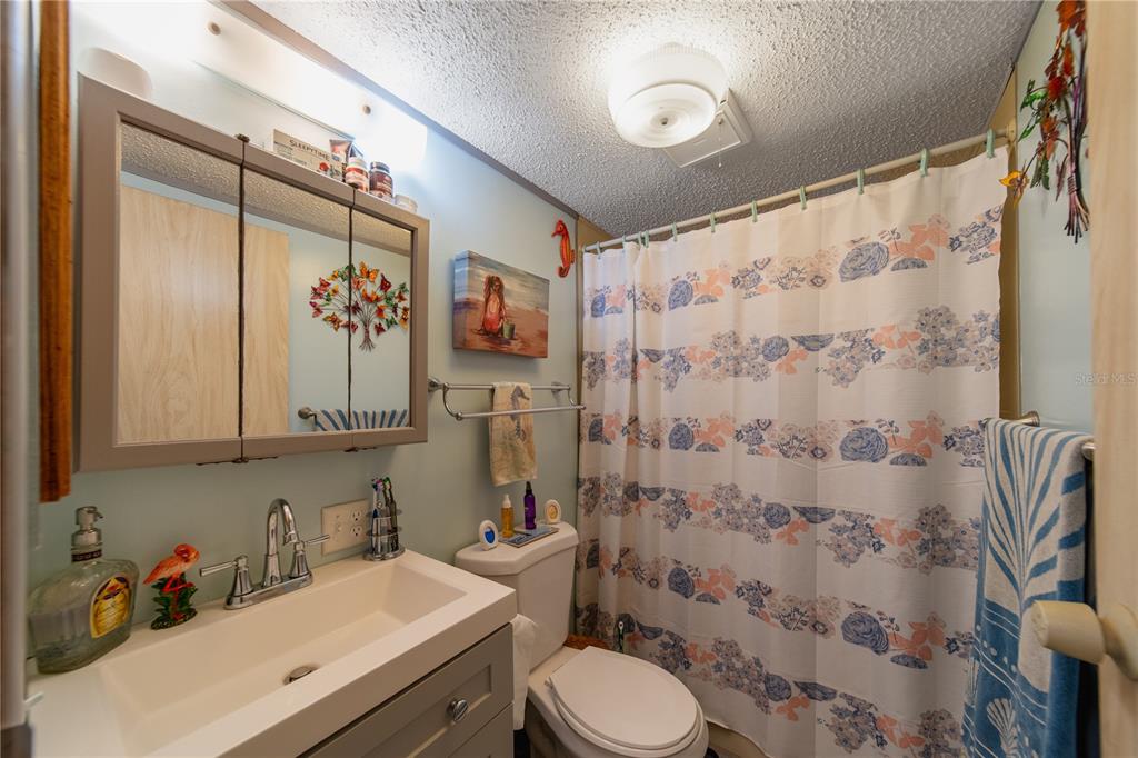 1381 Southeast Lake Road Arcadia, FL 34266 - Photo 10 of 38 a bathroom with a sink toilet and shower curtain
