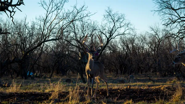 $5,500,000 | 20775 County Road 1445, Paint Rock, TX 76866