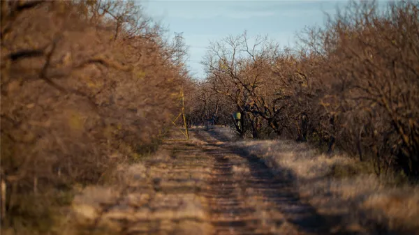 $5,500,000 | 20775 County Road 1445, Paint Rock, TX 76866