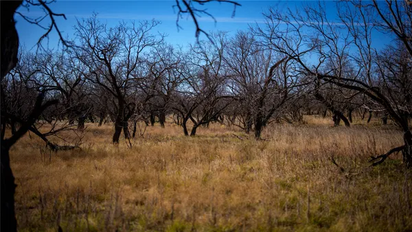 $5,500,000 | 20775 County Road 1445, Paint Rock, TX 76866