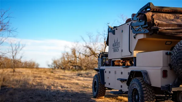 a view of under an tree