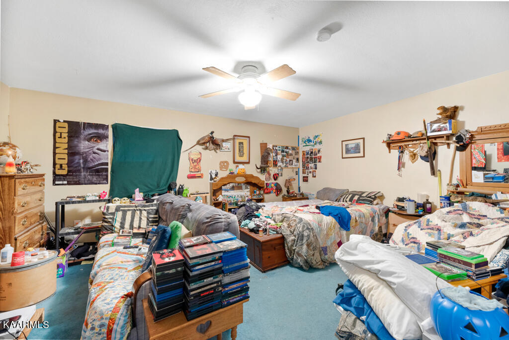 861 Sugar Loaf Road Sevierville, TN 37876 - Photo 21 of 28 4th BR downstairs