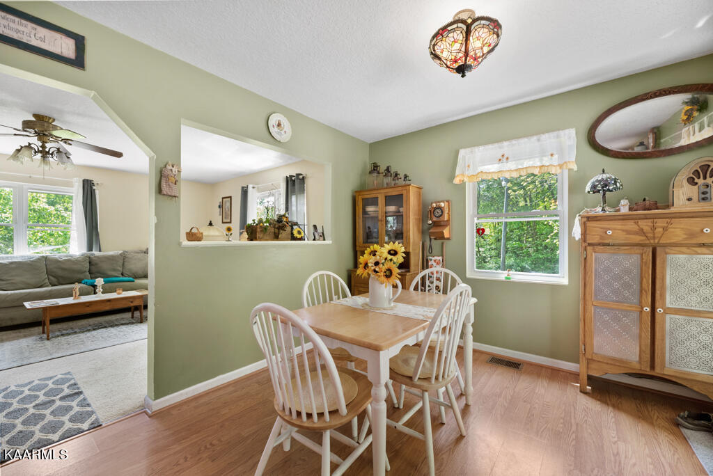861 Sugar Loaf Road Sevierville, TN 37876 - Photo 4 of 28 SgrLf861 (27)