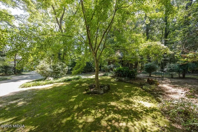 a backyard of a house with lots of green space