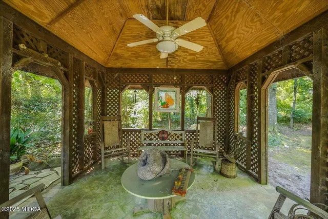 a view of a forest with lots of trees