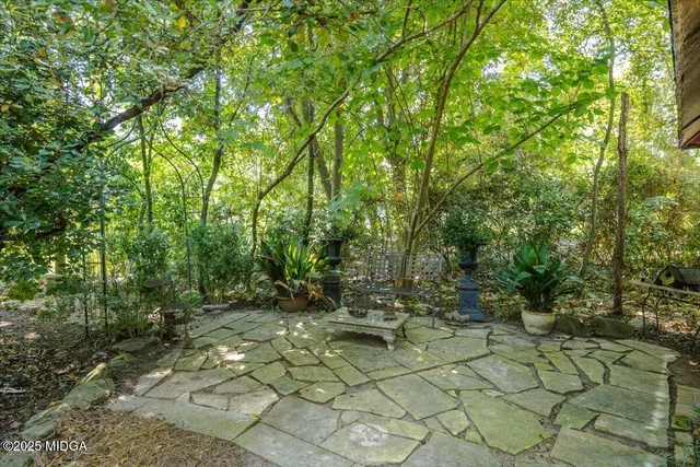 a view of a house with backyard and a tree
