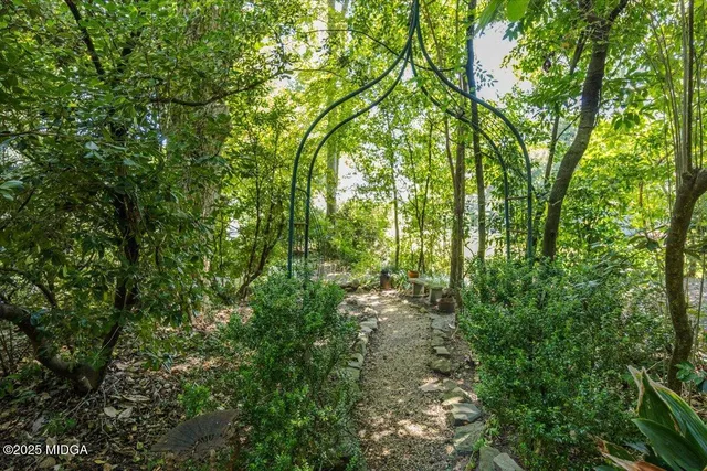 a view of backyard of house