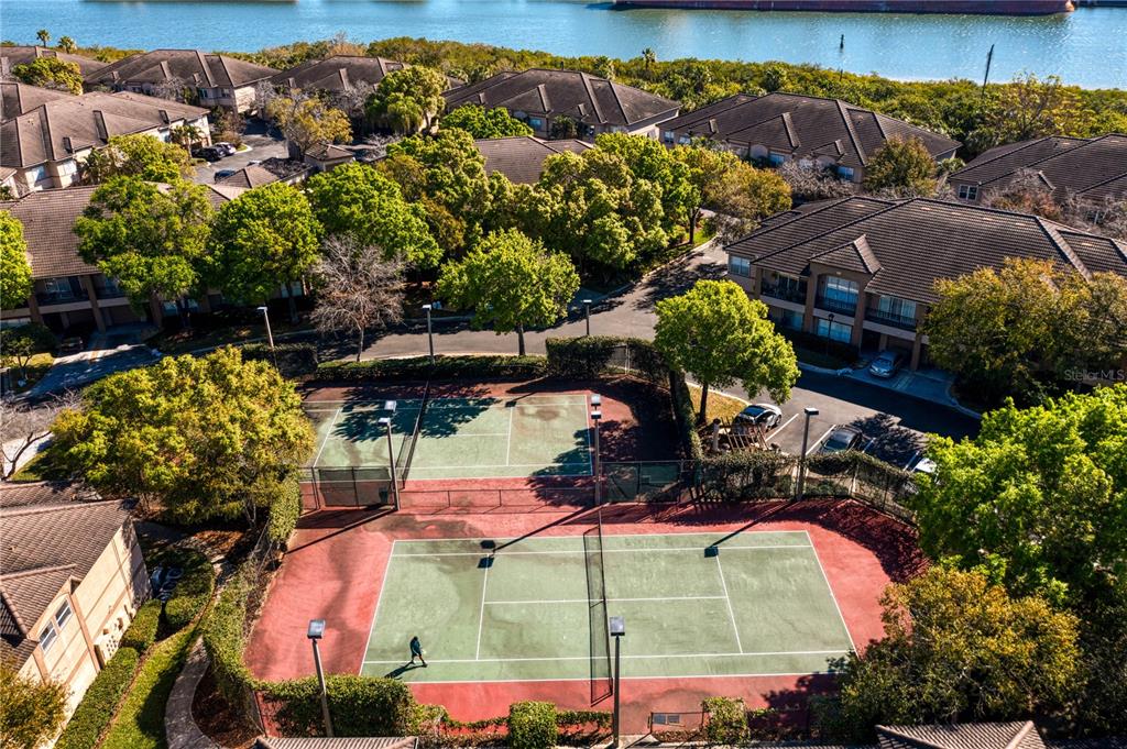 943 Normandy Trace Road Tampa, FL 33602 - Photo 40 of 51