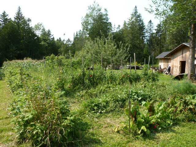 111 Fowler Road Orrington, ME 04474 - Photo 23 of 27 Yard/Garden.