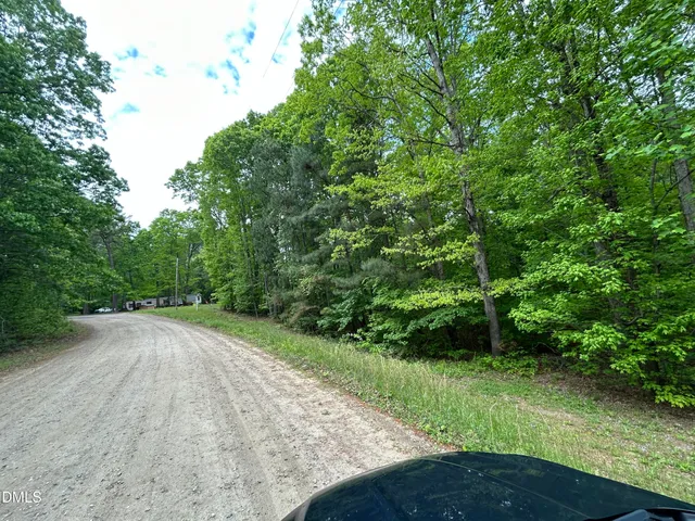 a view of a yard with plants and large trees