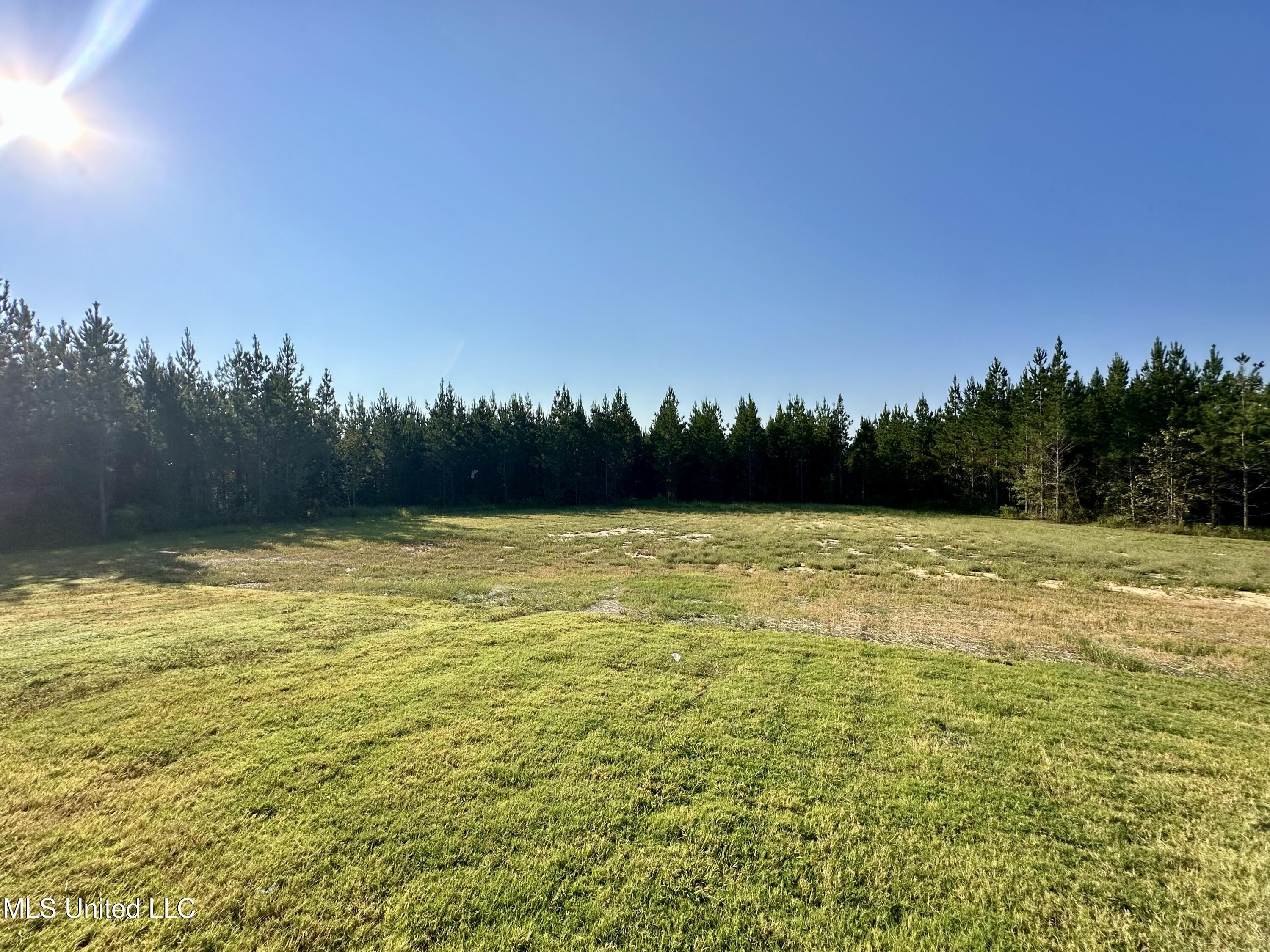 742 Freedom Ridge Lane Brandon, MS 39047 - Photo 74 of 76 742 Freedomn (3)