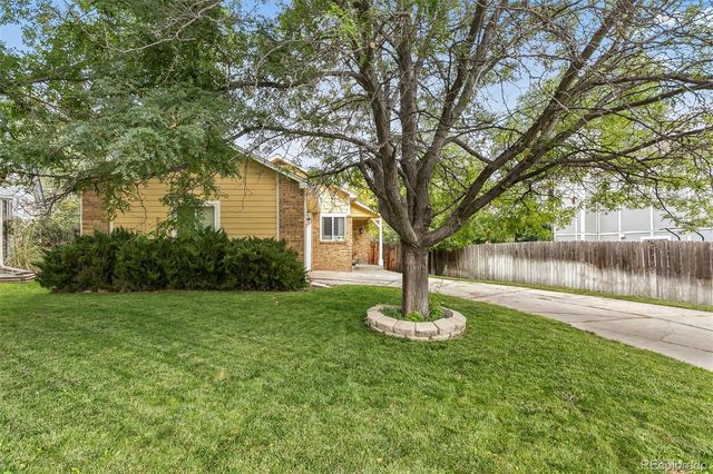 a swimming pool with a tree in the grass