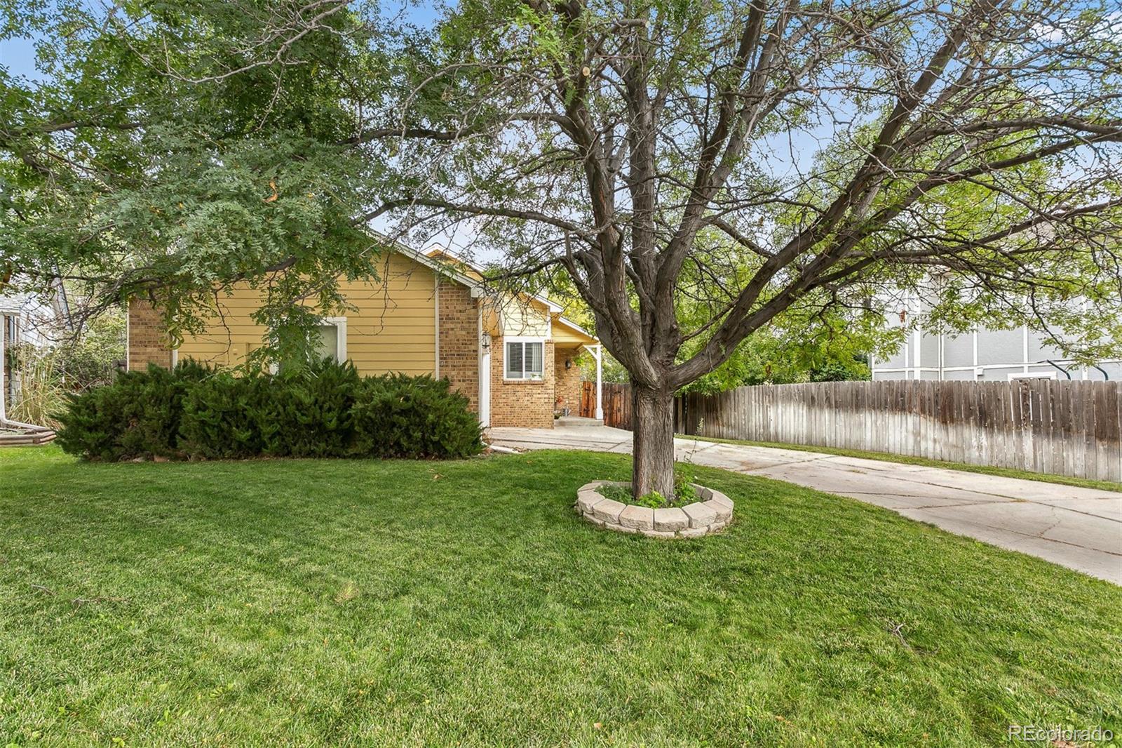 4139 East 131st Drive Thornton, CO 80241 - Photo 3 of 29 a swimming pool with a tree in the grass