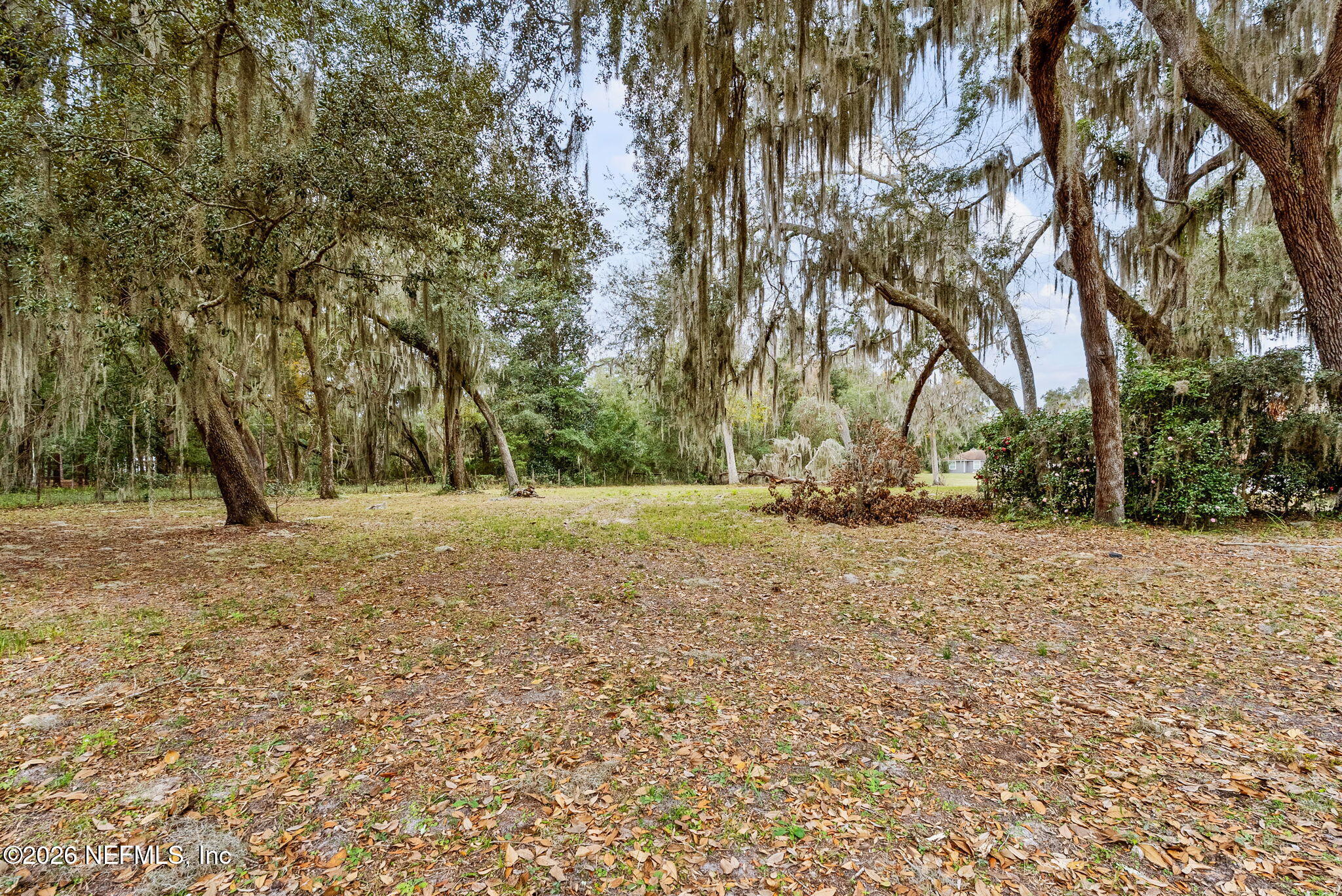 0 Eventide Avenue St. Johns, FL 32259 - Photo 4 of 15 a view of dirt yard with a tree
