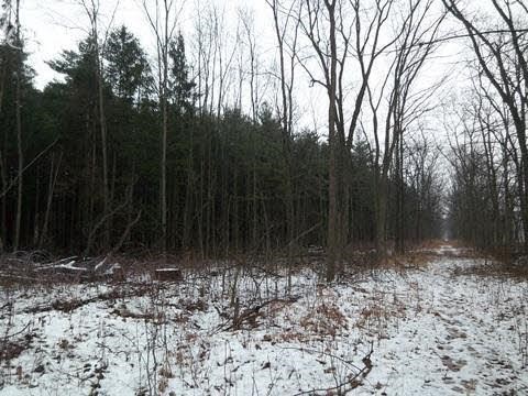 0 Friegel Road Owosso, MI 48867 - Photo 3 of 4 20308604-2.JPG