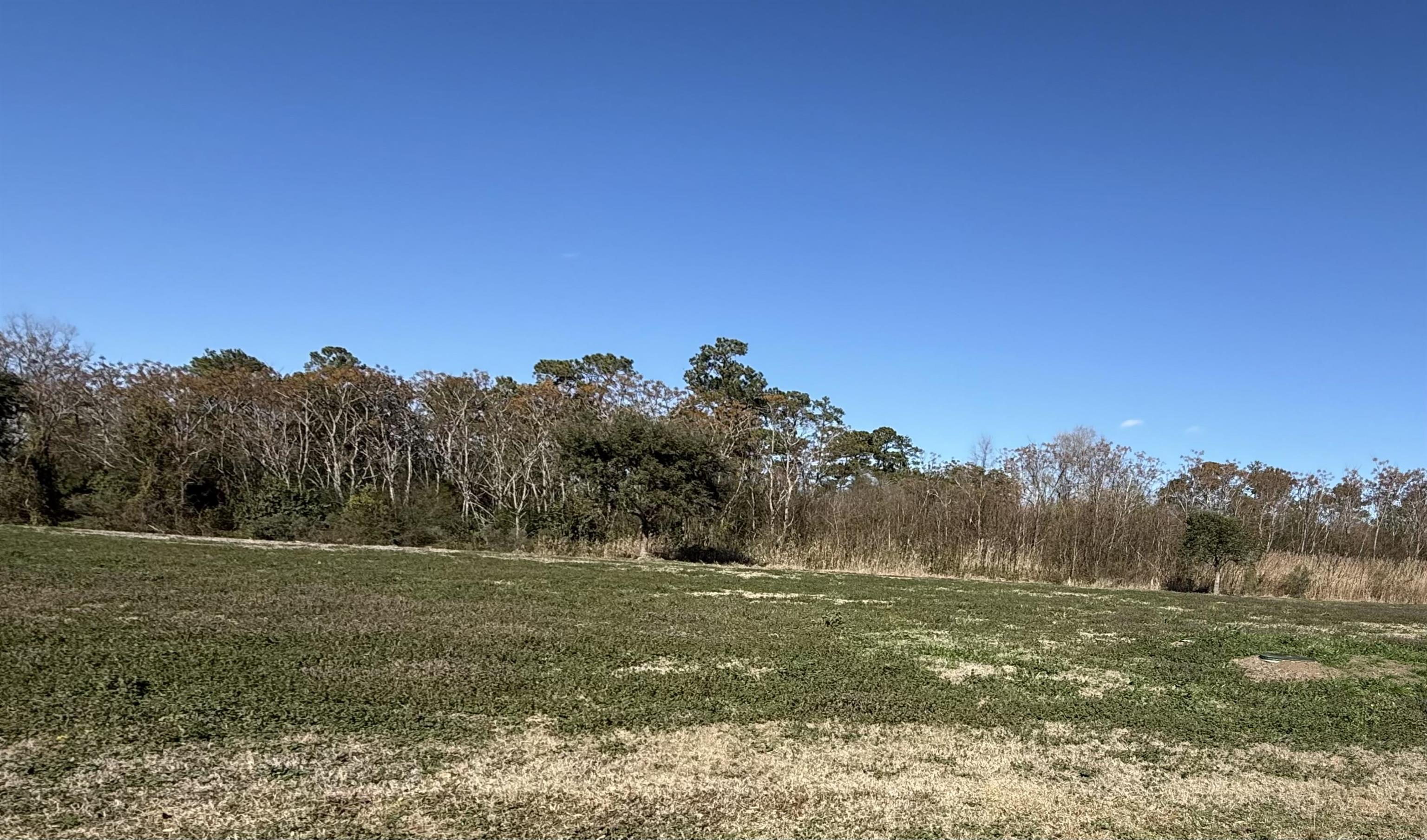 151 Cravens Grant Georgetown, SC 29440 - Photo 1 of 1