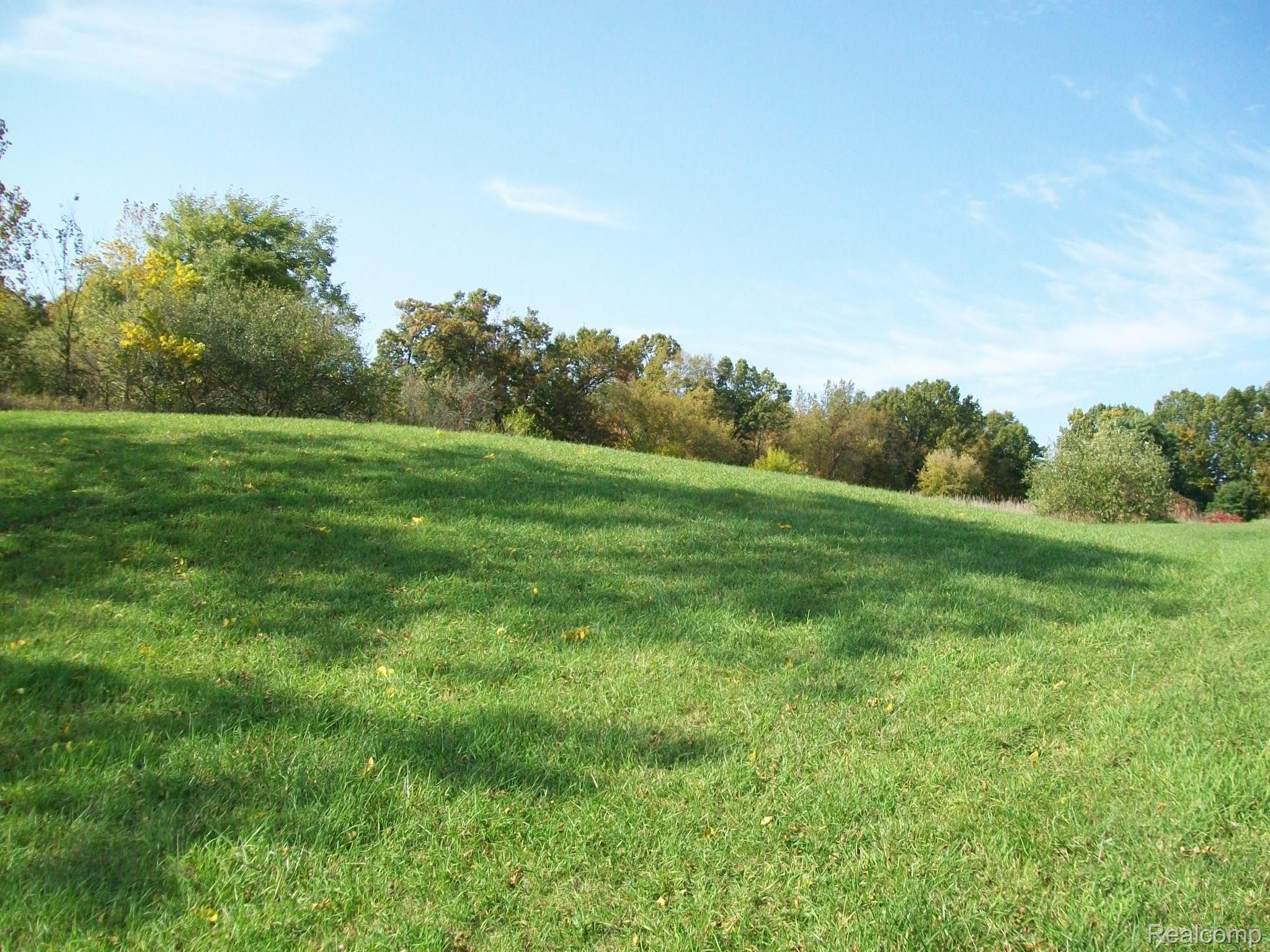 21396 Spears Road Pinckney, MI 48169 - Photo 25 of 38 100_2203.JPG