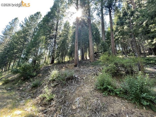 34 Snow Bowl Road Long Barn, CA 95335 - Photo 11 of 14 Gallery Image 11