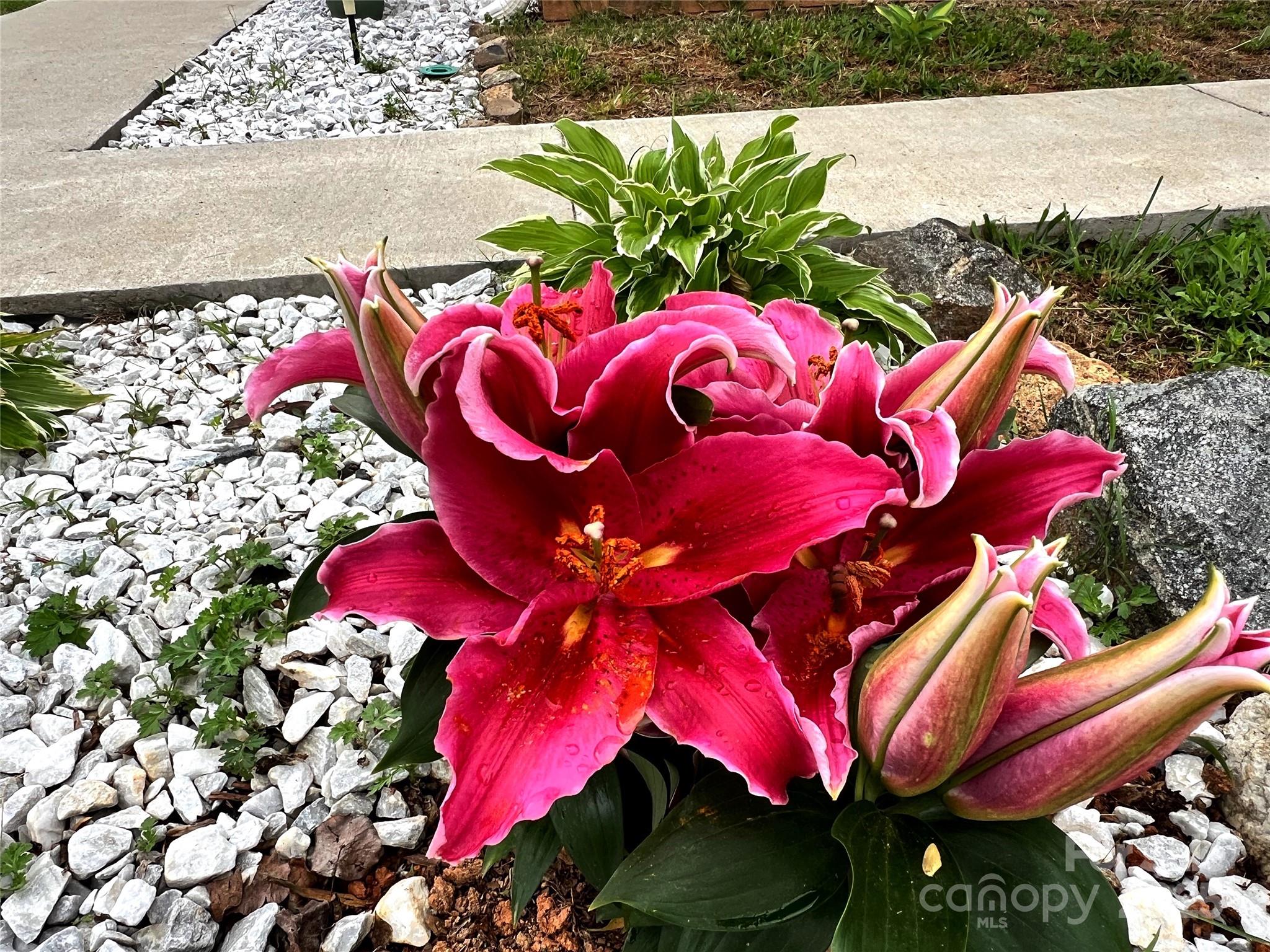 2170 Watson Road Lenoir, NC 28645 - Photo 35 of 35 Gallery Image 35