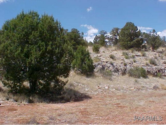 57404 El Capitan Road Seligman, AZ 86337 - Photo 12 of 16 Additional Photo