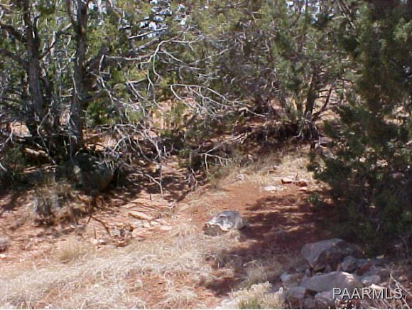 57404 El Capitan Road Seligman, AZ 86337 - Photo 16 of 16 Additional Photo