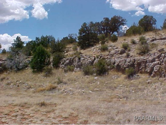 57404 El Capitan Road Seligman, AZ 86337 - Photo 7 of 16 Additional Photo
