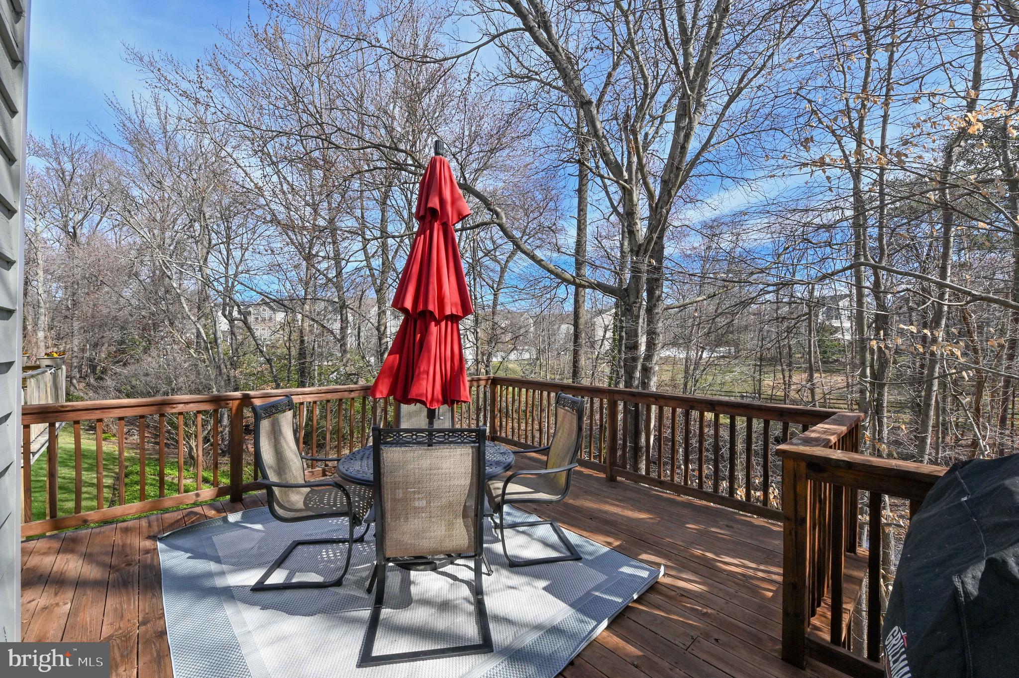 142 Spring Pl Way Annapolis, MD 21401 - Photo 25 of 63 Outdoor Entertaining