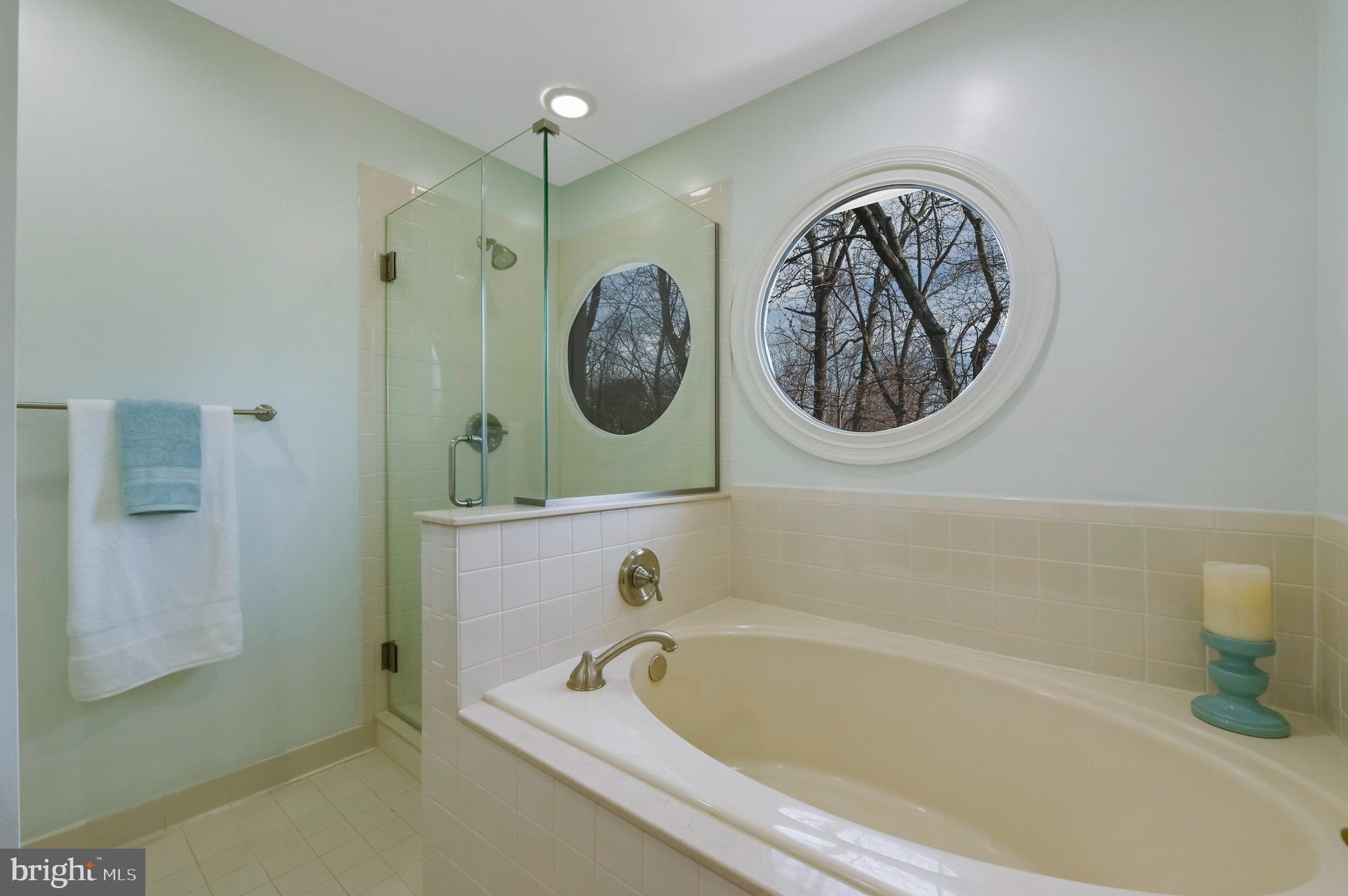 142 Spring Pl Way Annapolis, MD 21401 - Photo 31 of 63 Soaking Tub