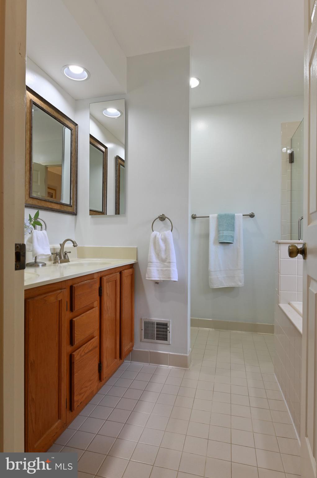 142 Spring Pl Way Annapolis, MD 21401 - Photo 32 of 63 Primary bath