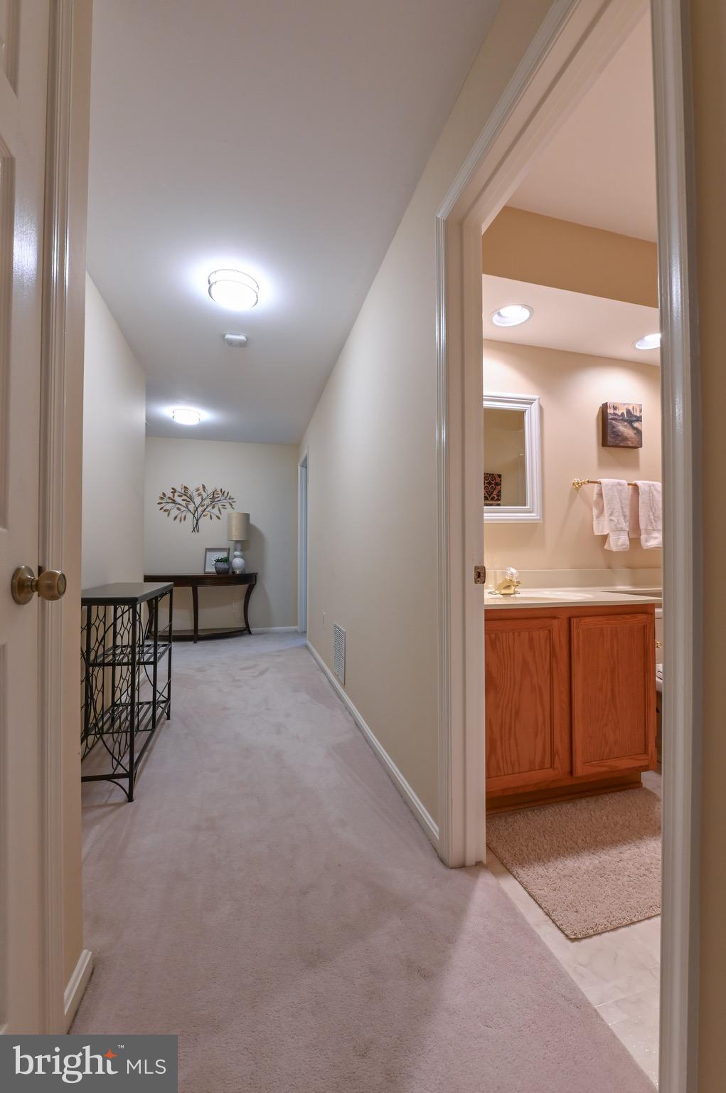 142 Spring Pl Way Annapolis, MD 21401 - Photo 41 of 63 The basement