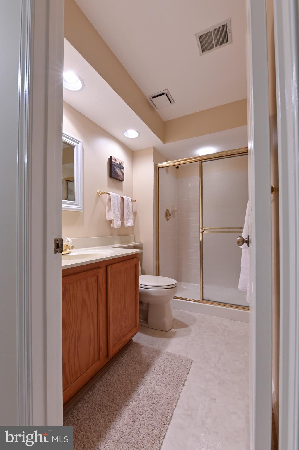 142 Spring Pl Way Annapolis, MD 21401 - Photo 43 of 63 basement 3rd full bath