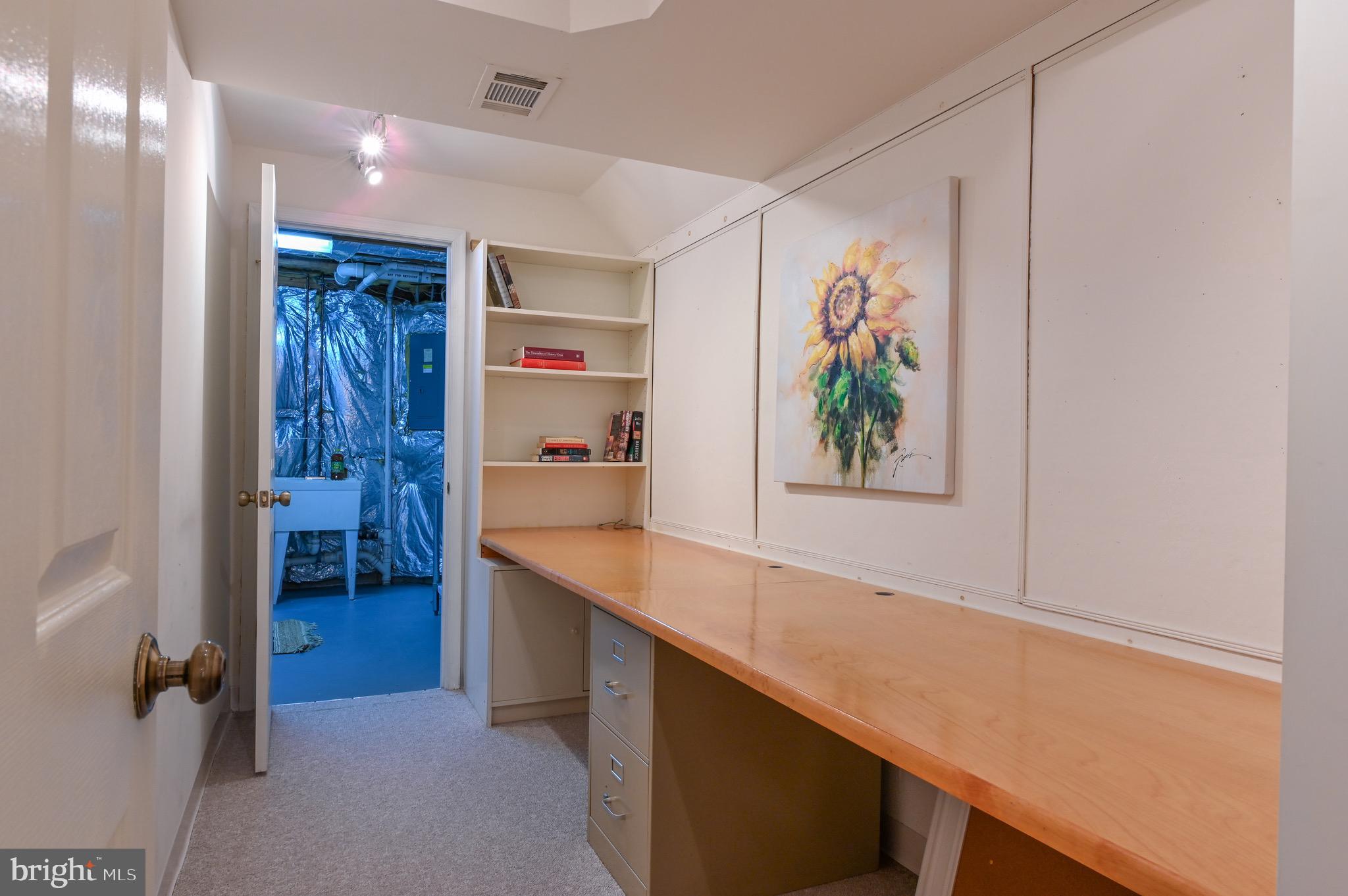 142 Spring Pl Way Annapolis, MD 21401 - Photo 49 of 63 Bonus area off of basement.