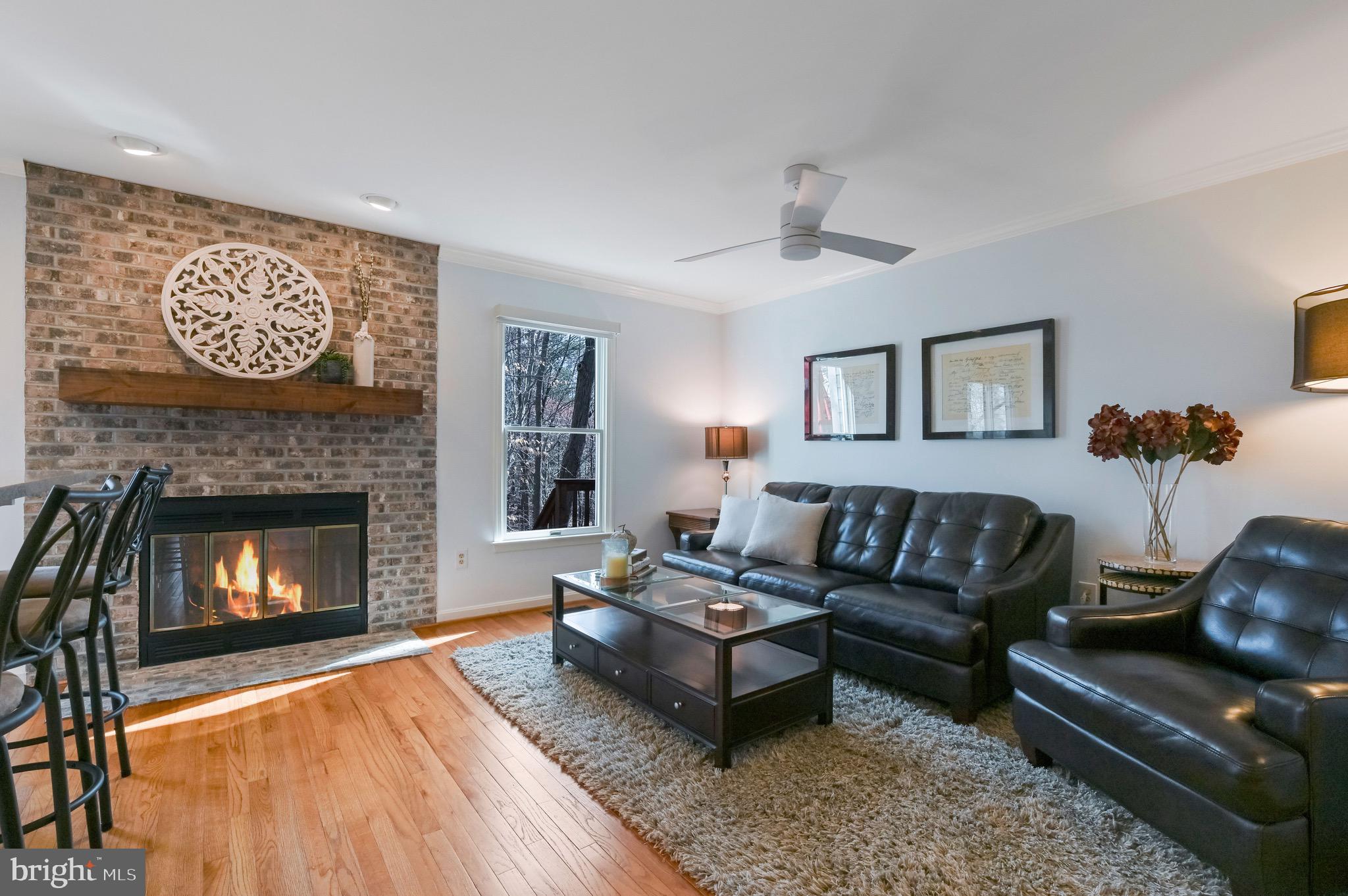 142 Spring Pl Way Annapolis, MD 21401 - Photo 8 of 63 Wood burning fireplace