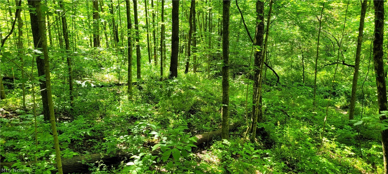 Hollis Clark Road Caldwell, OH 43724 - Photo 13 of 49