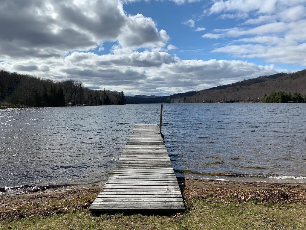 1188 Goodnow Flow Road Newcomb, NY 12852 - Photo 1 of 39 Gallery Image 1