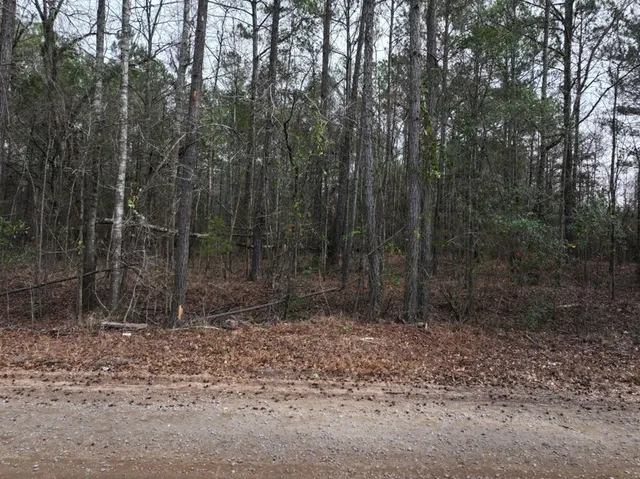 $64,980 | Lot 2 Silva Drive, Hamilton, GA 31811