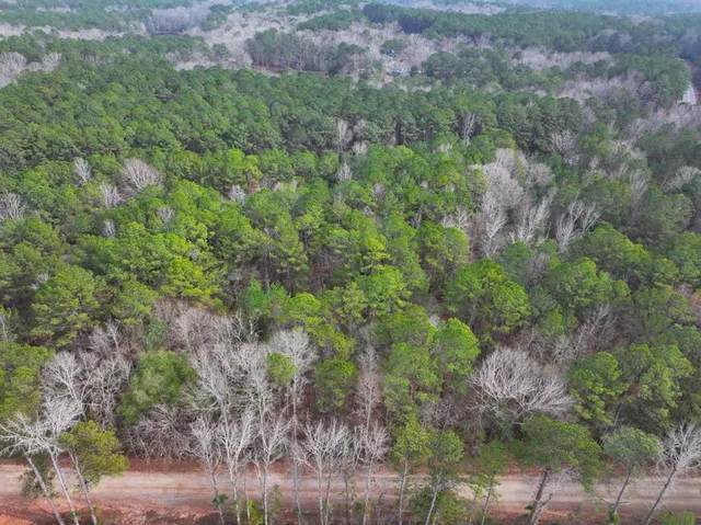 $64,980 | Lot 2 Silva Drive, Hamilton, GA 31811