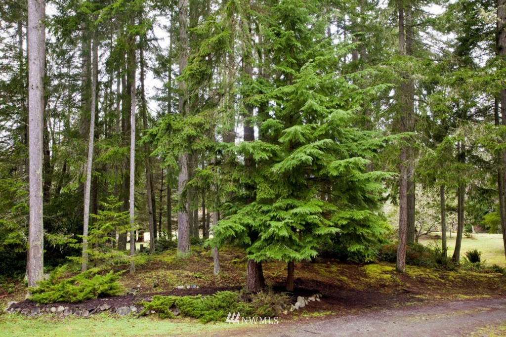 23732 Old Mill Road Southwest Vashon, WA 98070 - Photo 8 of 12