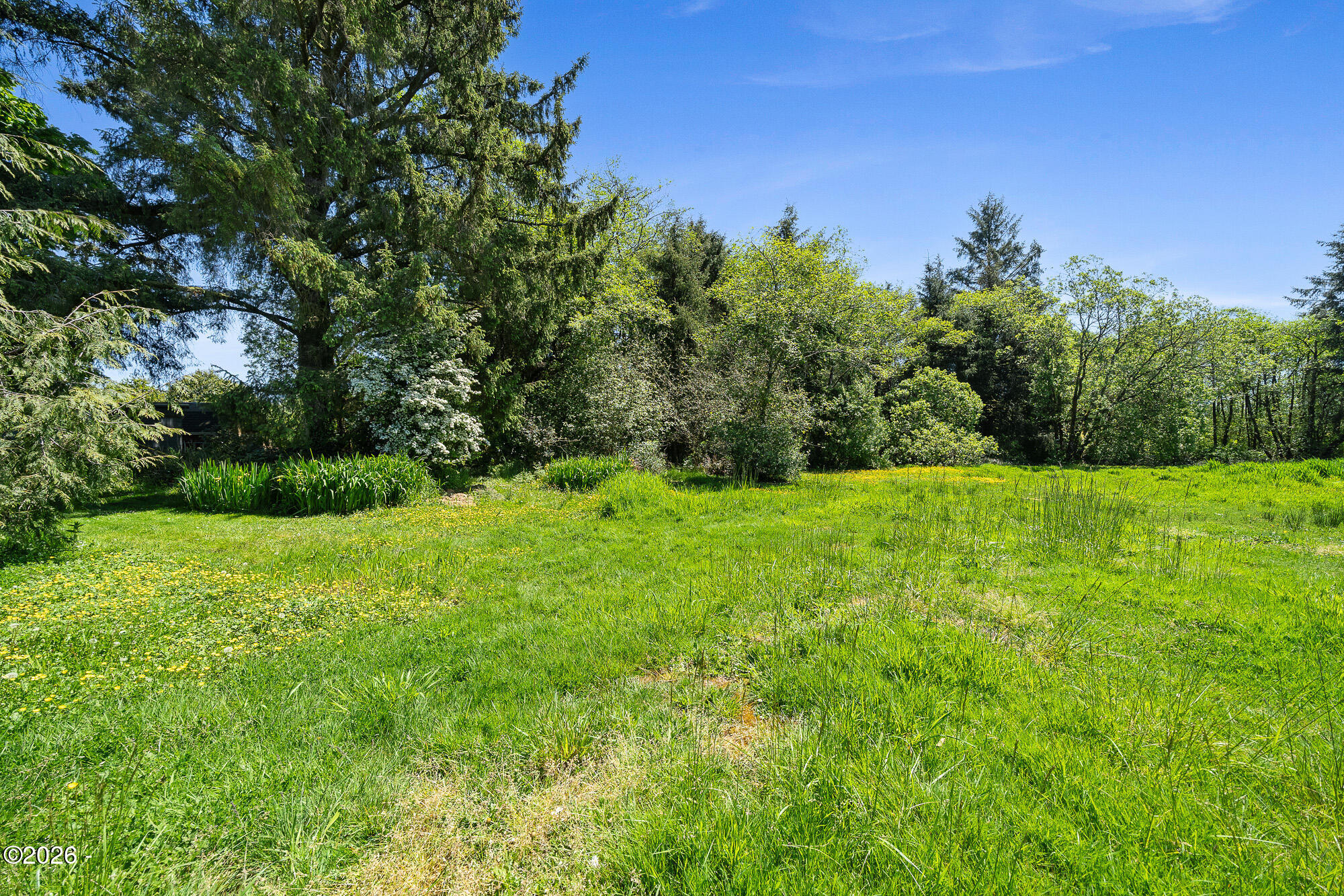 7705 Alderbrook Road Tillamook, OR 97141 - Photo 41 of 48 DSC07255